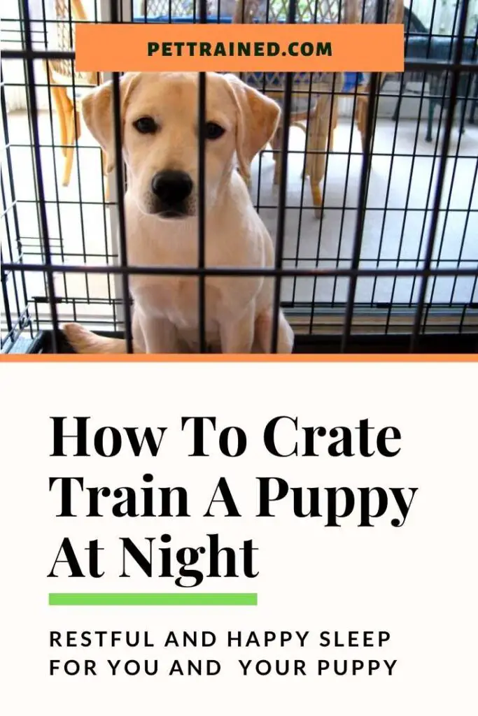 Crate Training A Puppy At Night Tips
