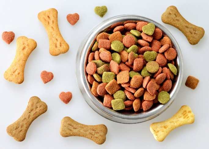 Good quality dog food for dogs