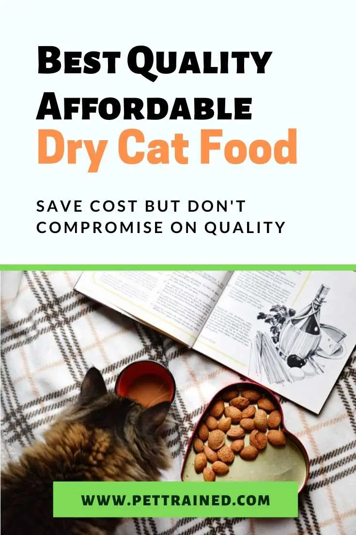 Best Quality Affordable Dry Cat Food For Cats
