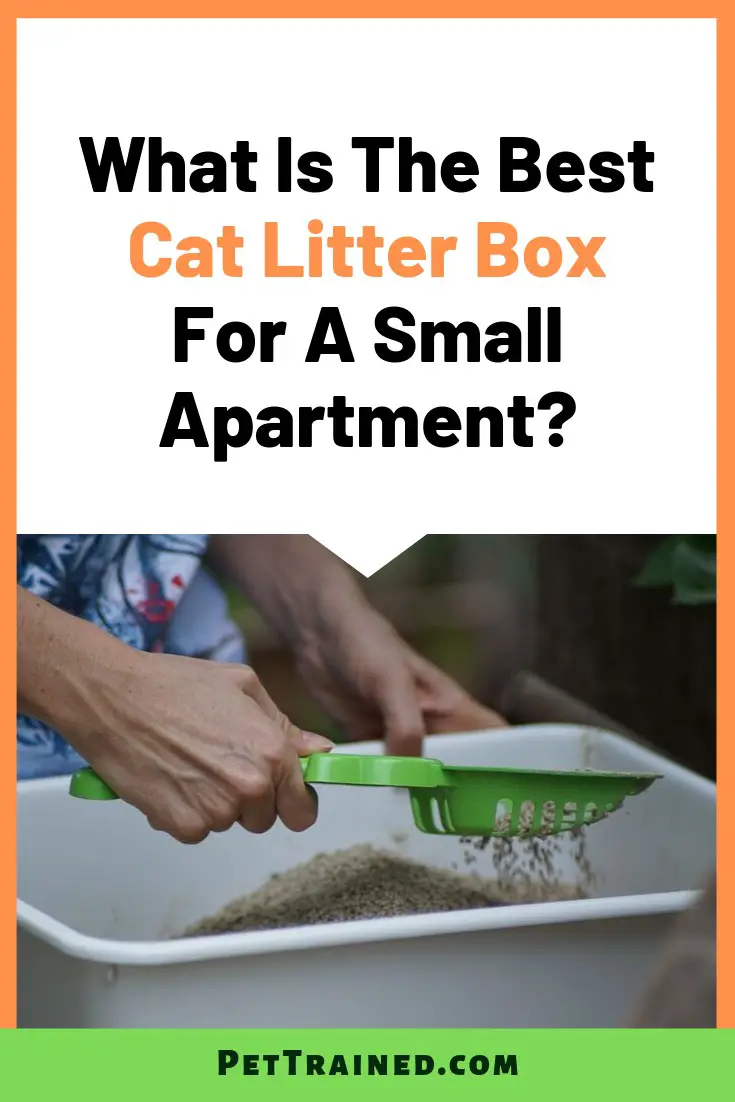 Best Cat Litter Box For Small Apartment