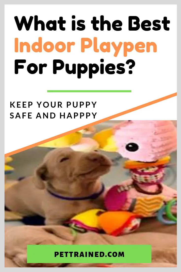 Best Indoor Playpen For Puppies