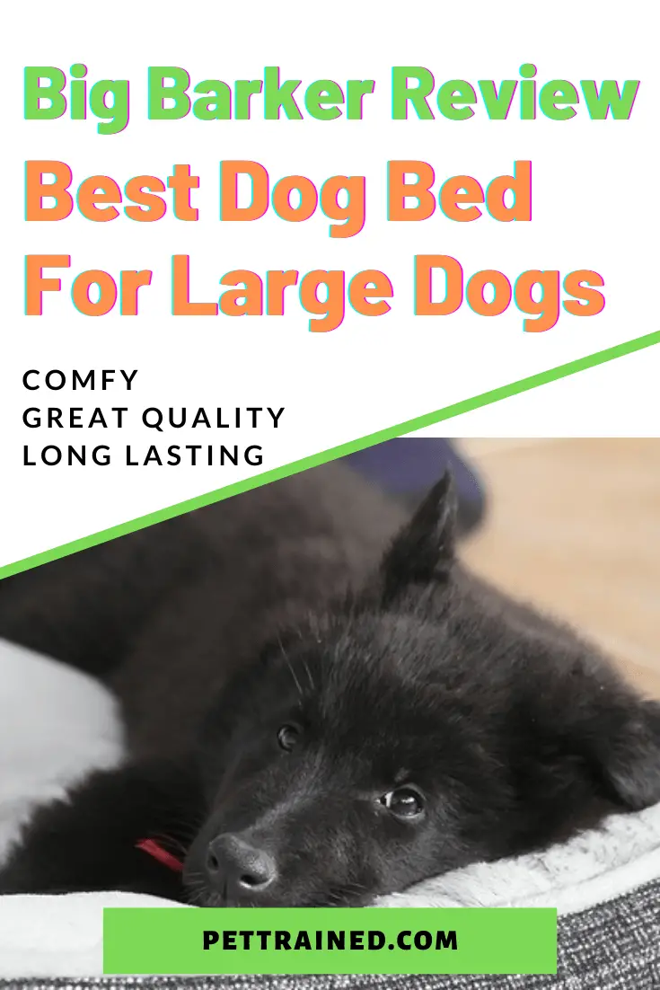 Big barker dog bed review