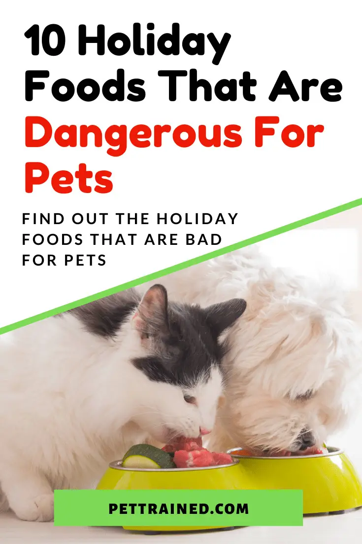 Holiday Foods That Are Dangerous For Pets dogs cats