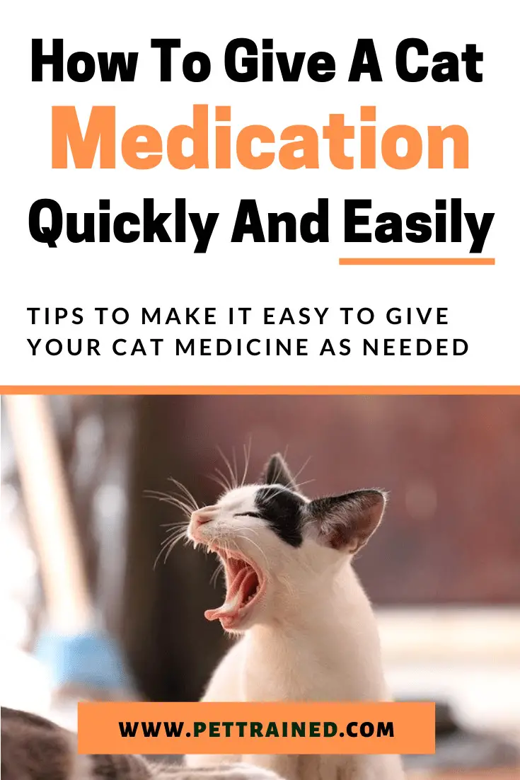 How to give a cat medication easily