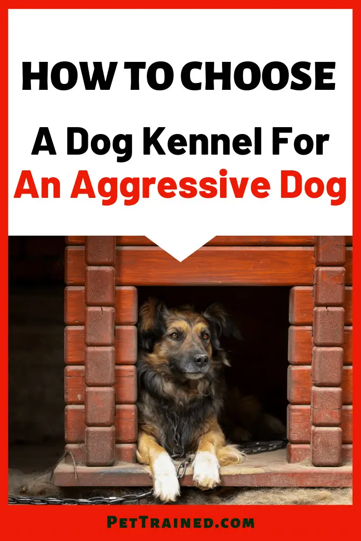 Types Of Dog Kennels For Aggressive Dogs