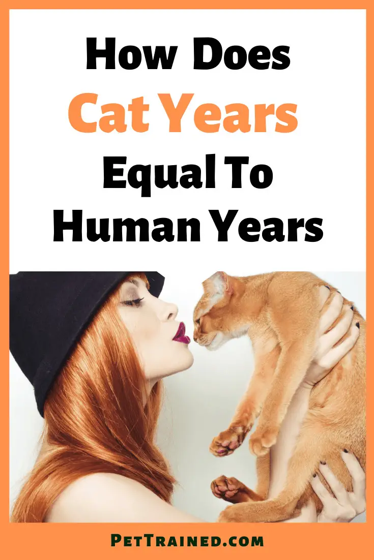 how many cat years are equivalent to human years