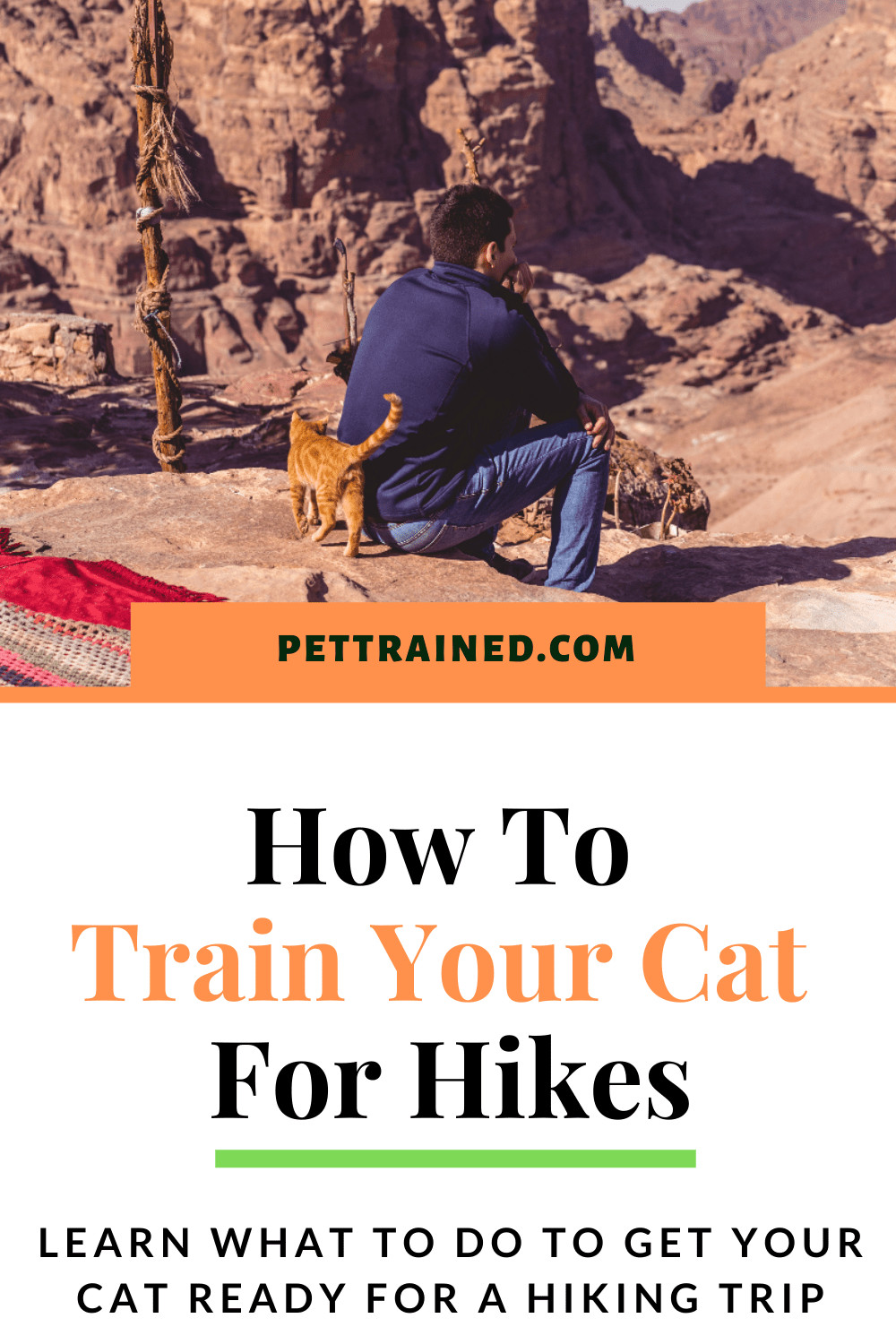 How To Train A Cat For Hikes