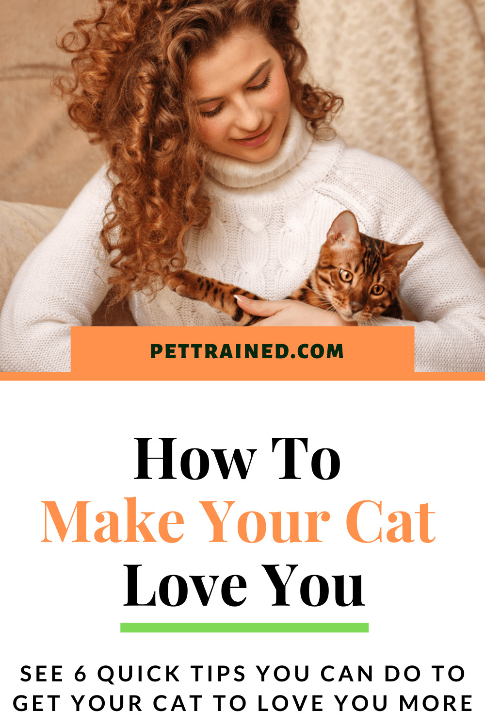 How to make your cat love you now