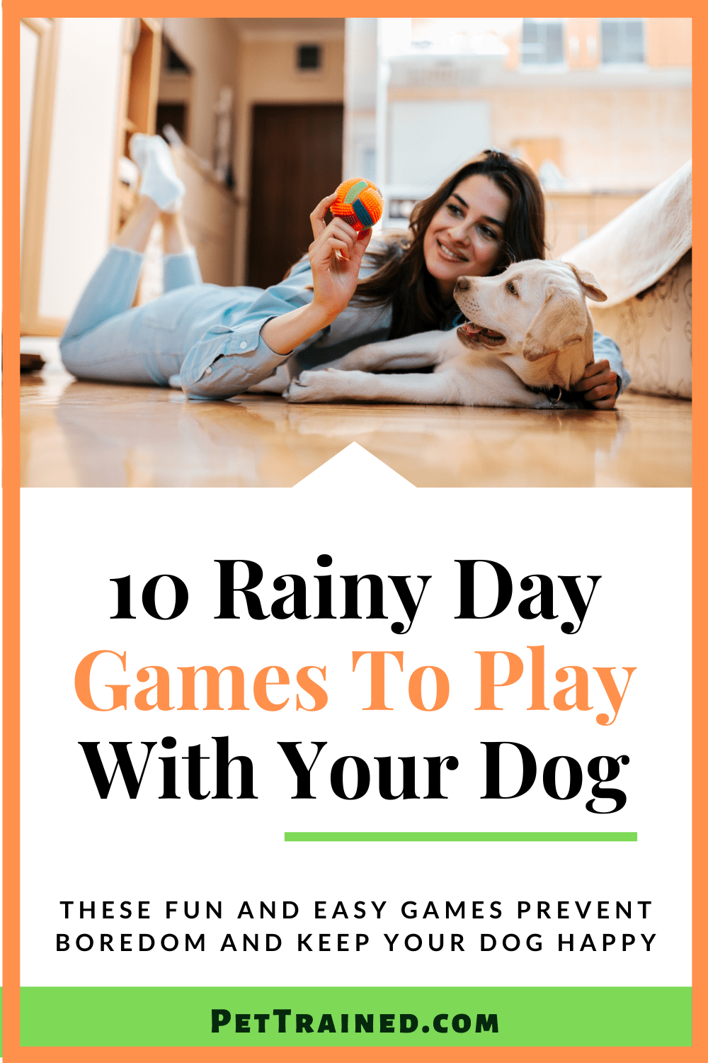 Rainy Day Games to Play With A Dog pin