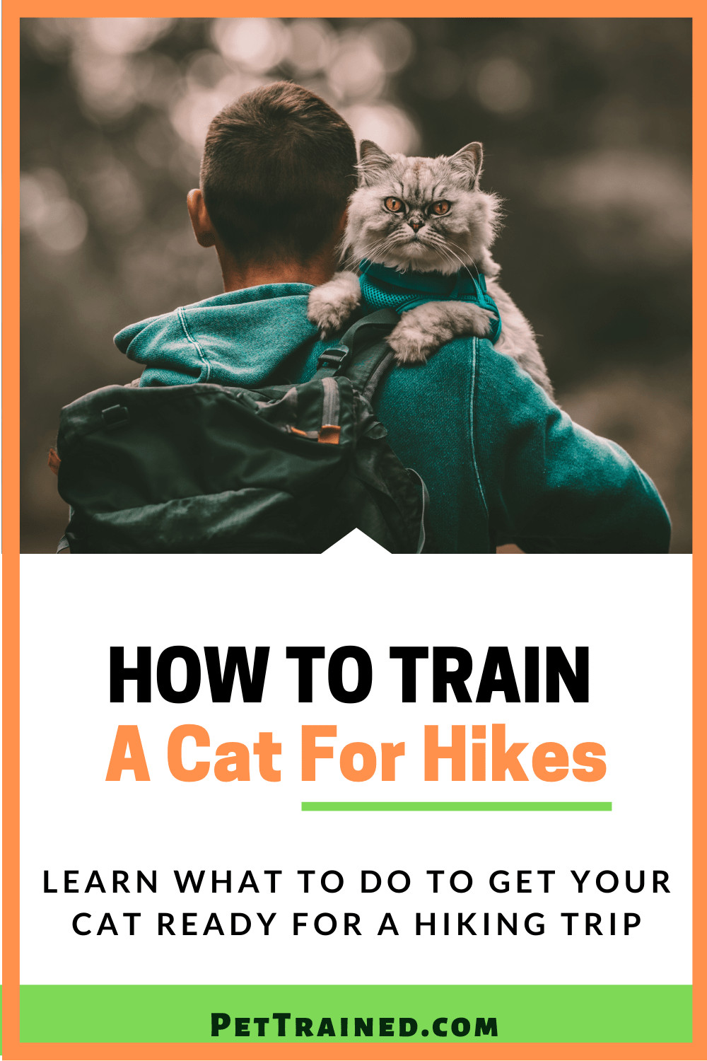 how to hike with your cat