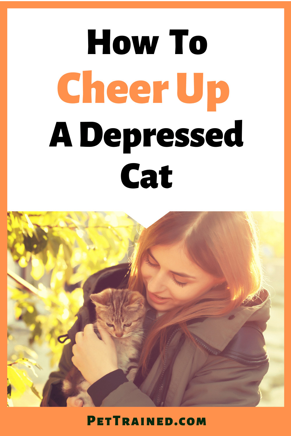 signs of cat depression and solutions