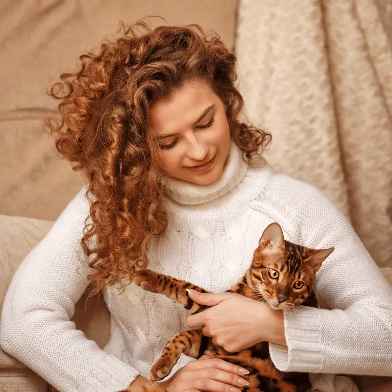 ways to make your cat more affectionate to you