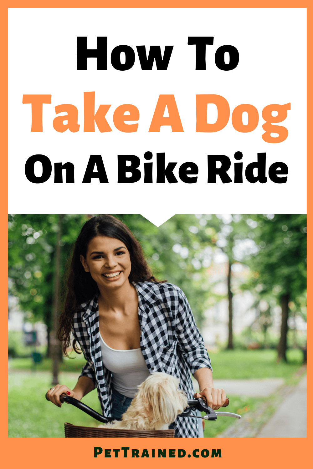 How to take a dog bike riding today