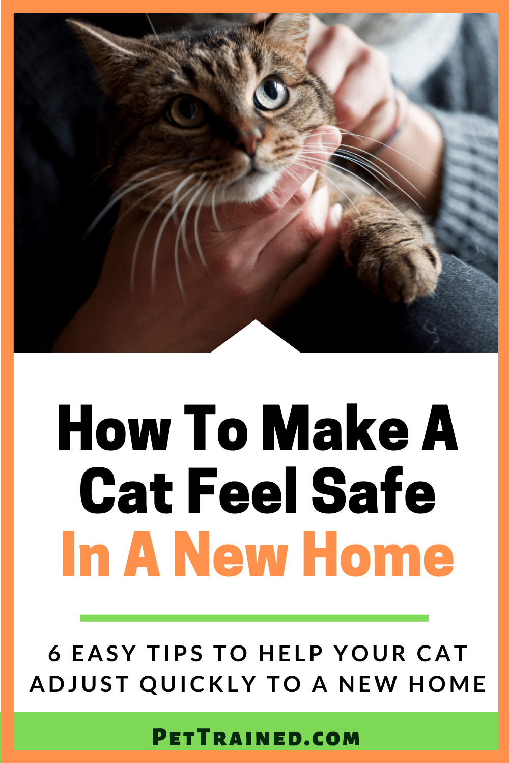 how to introduce a cat to a new home
