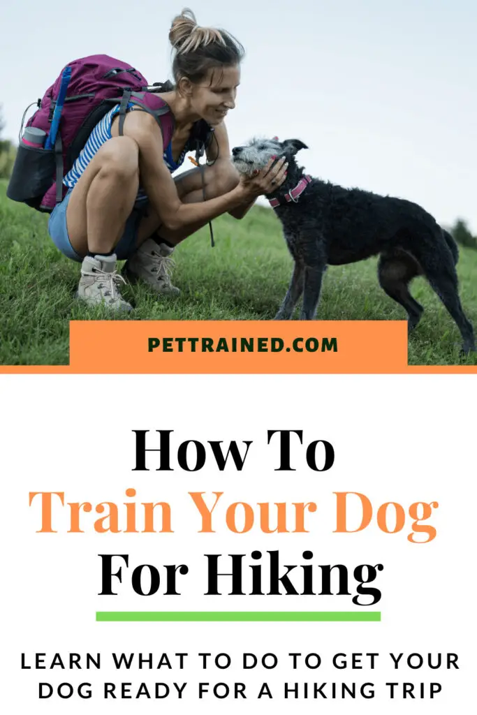 How to train your dog for hikes