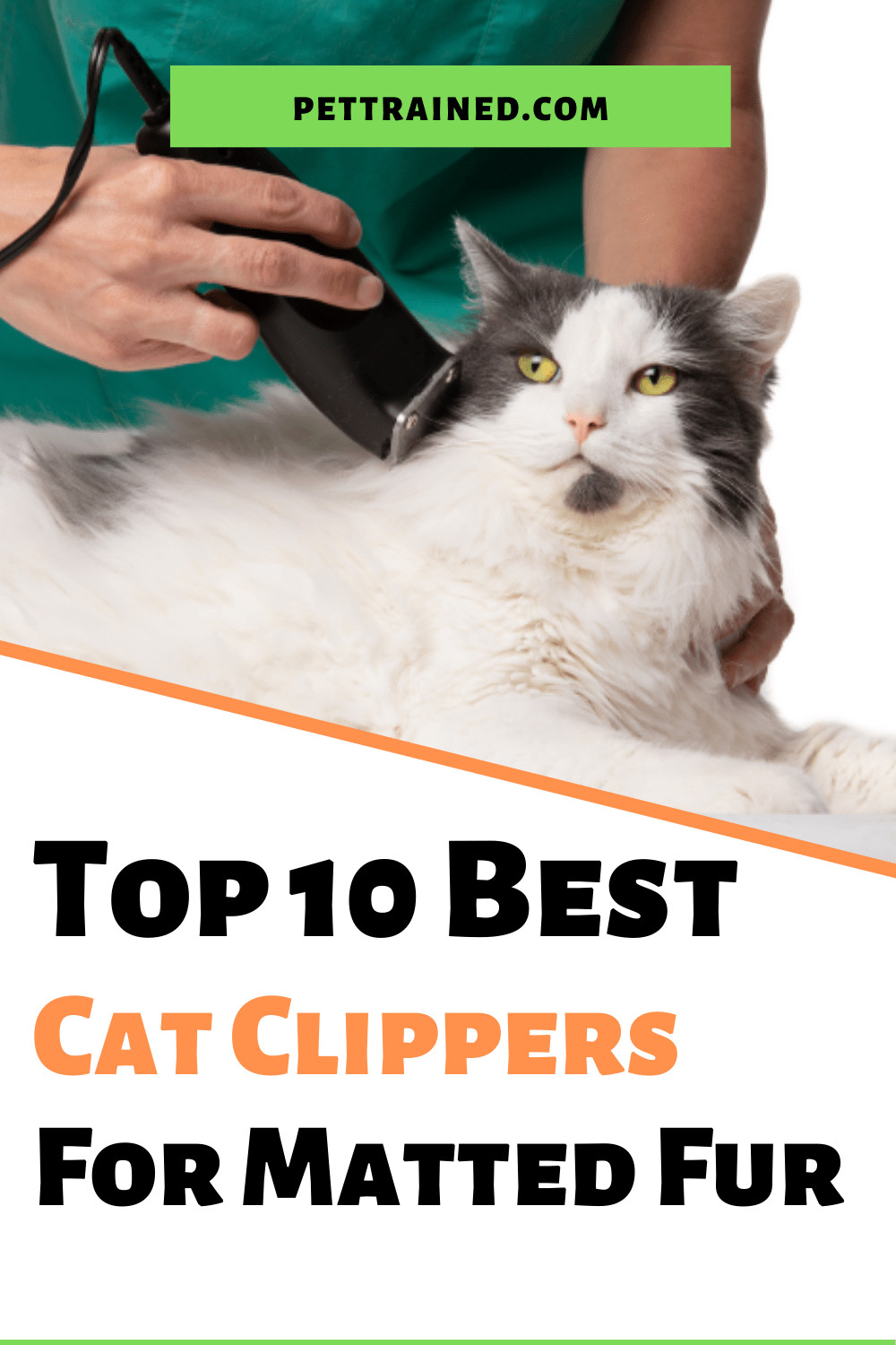 Top 10 Best Cat Clippers For Matted Fur