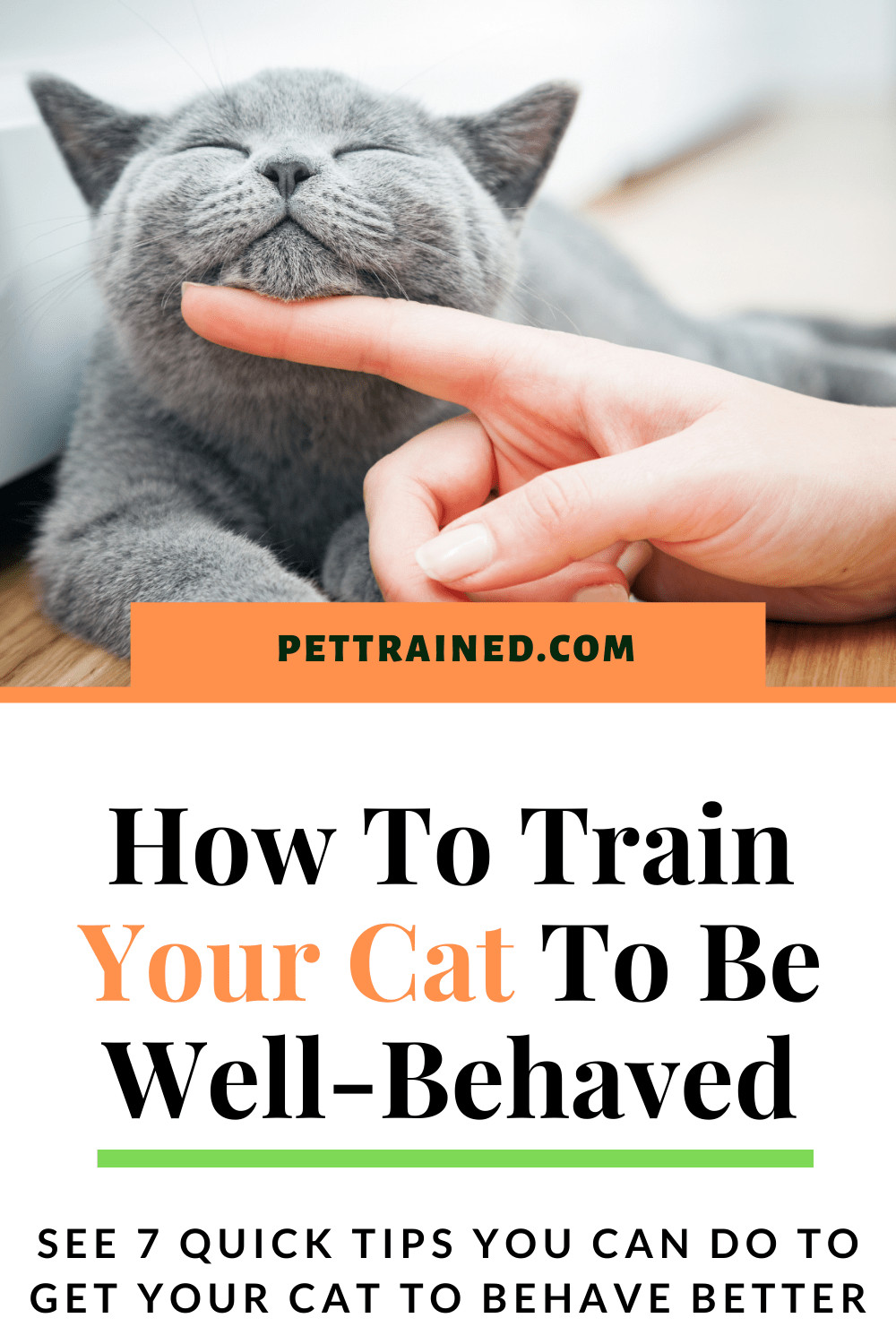 Train a cat to behave well