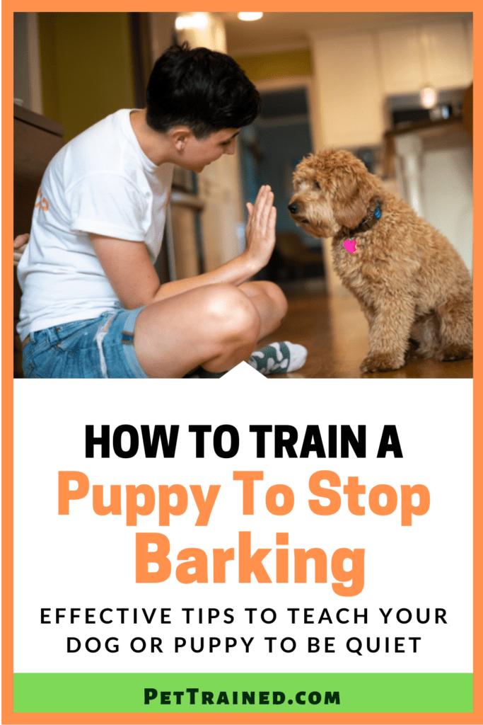 Stop puppy barking fast