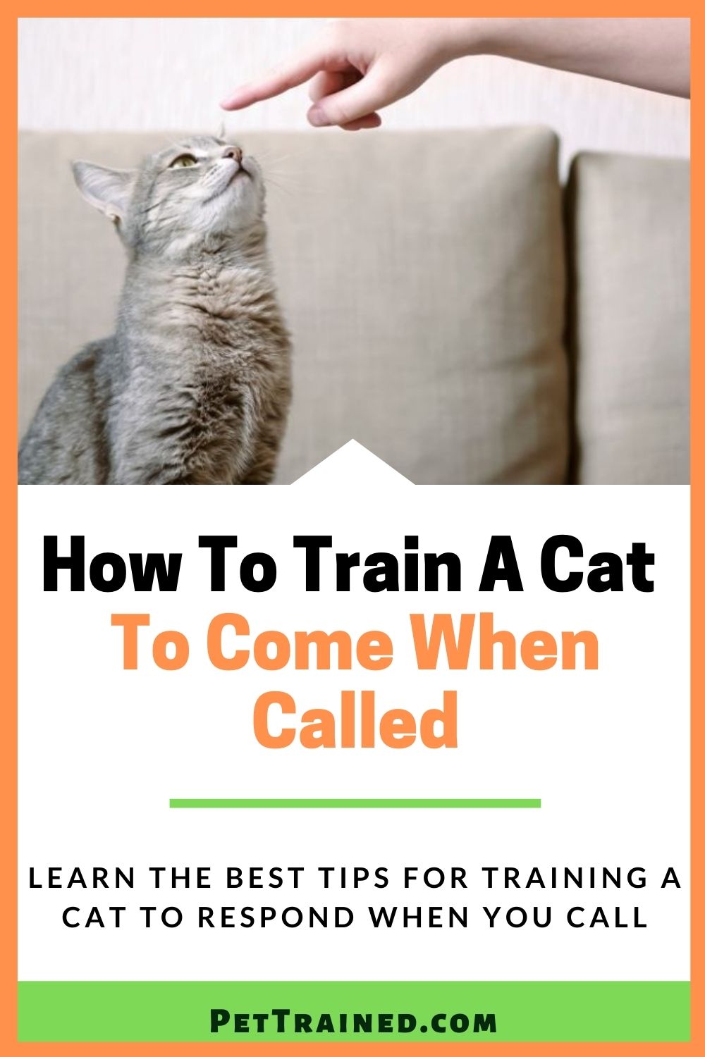 how to call a cat from far away