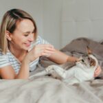 8 Easy Tips On How To Make A Cat Feel Happy