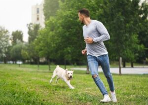 How To Train A Dog To Run With You