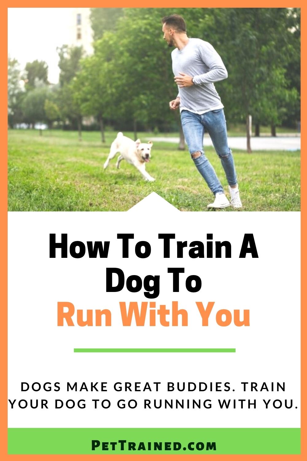 How to exercise your dog by running