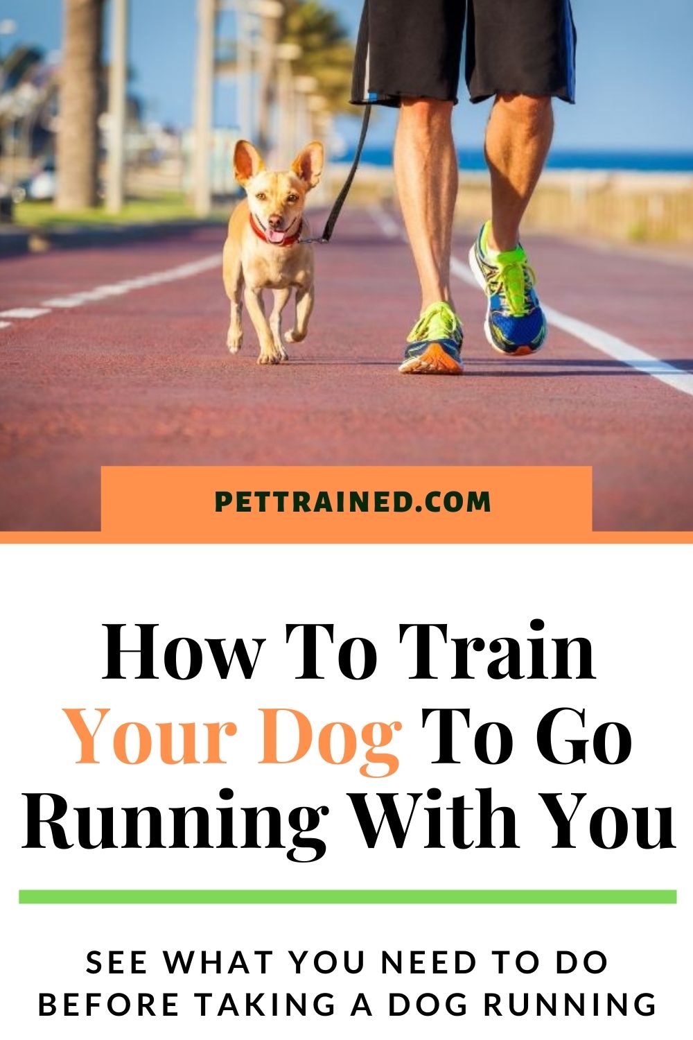 How to help your dog lose weight by running