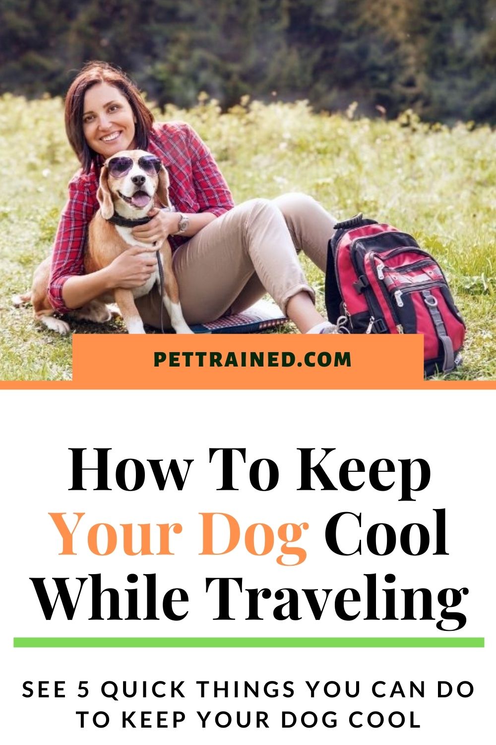 How to keep a dog cool on a trip