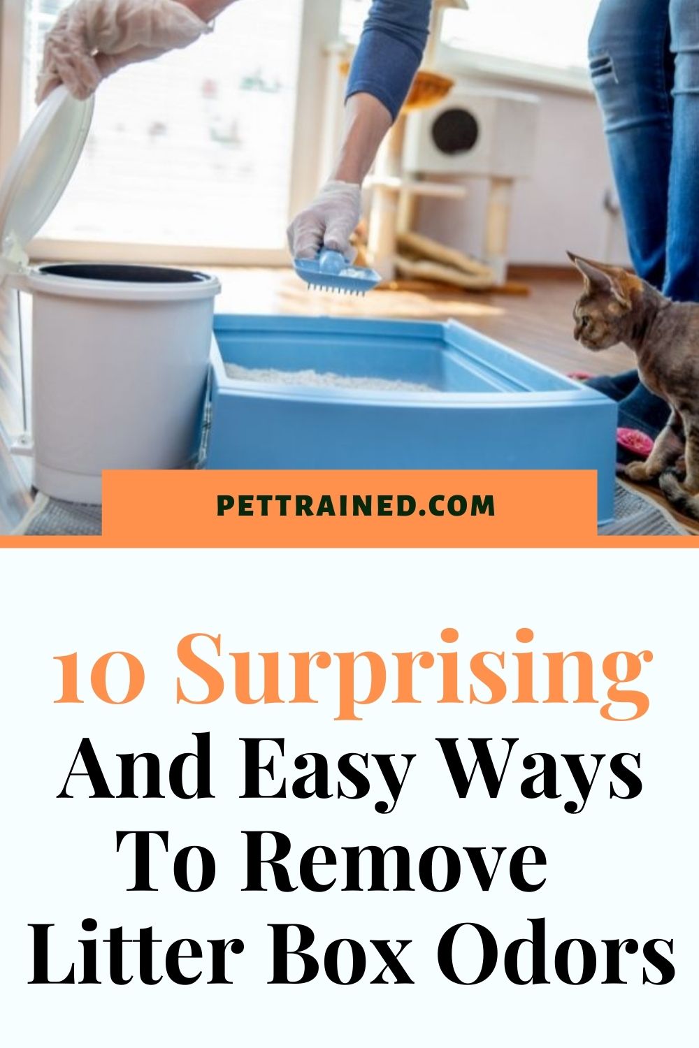 easy ways to get rid of cat smell