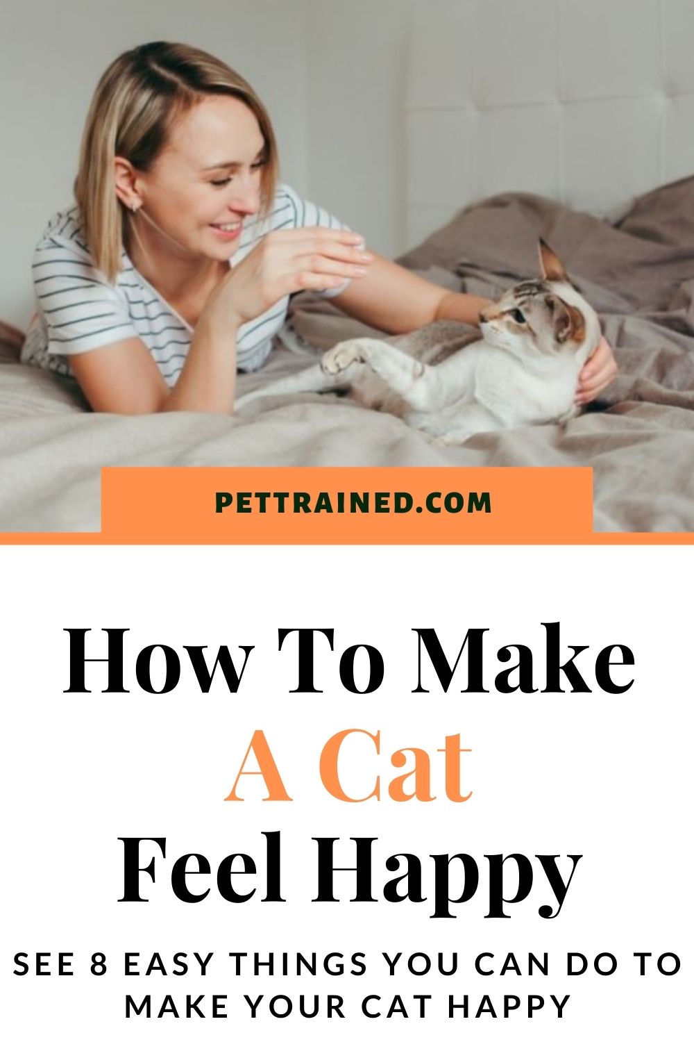 how to make any cat happy