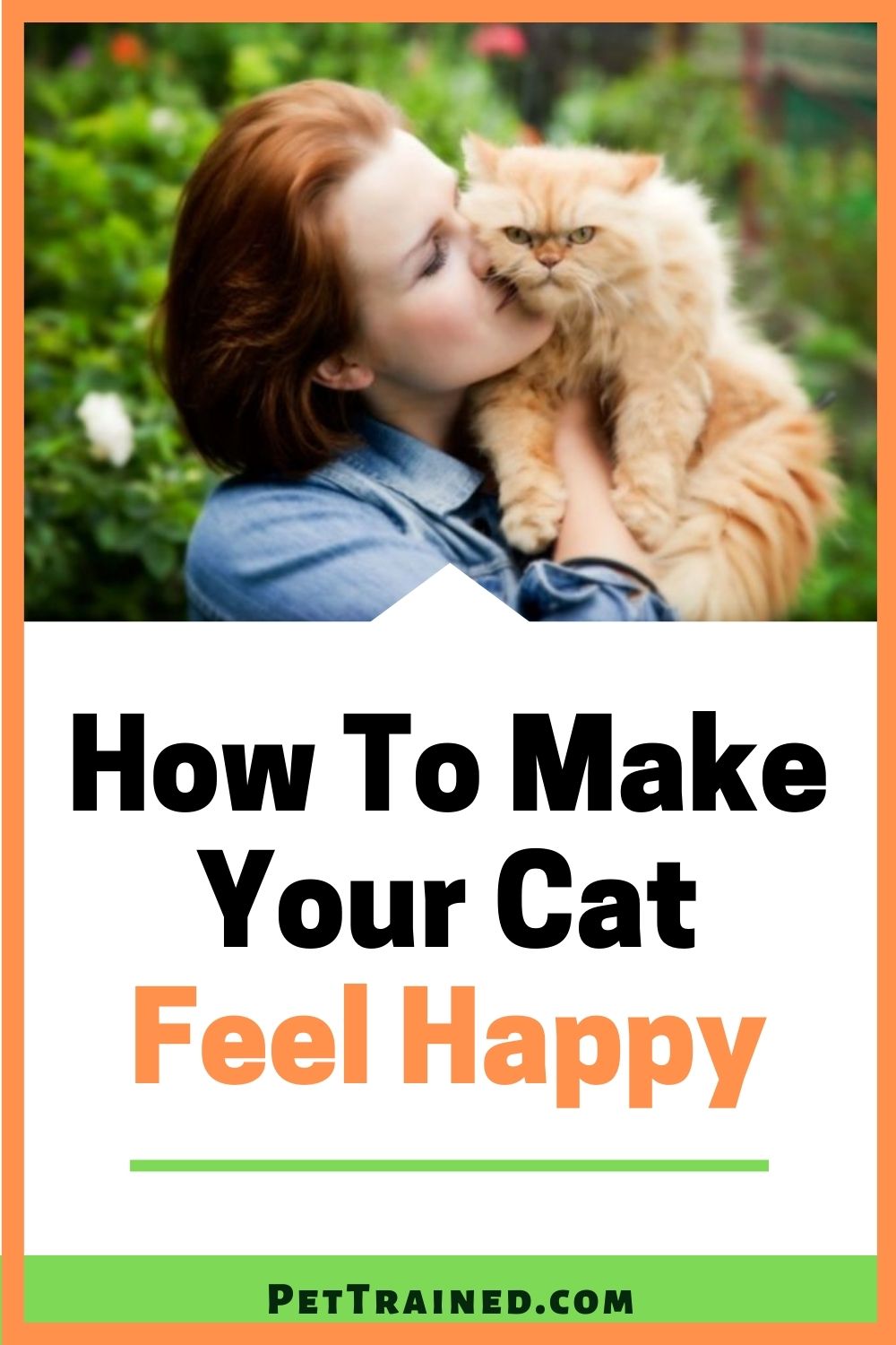 top tips for making adult cats happy