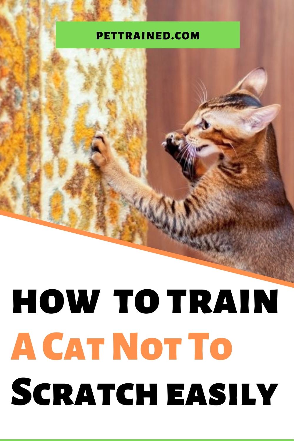 How to train a cat not to scratch easily