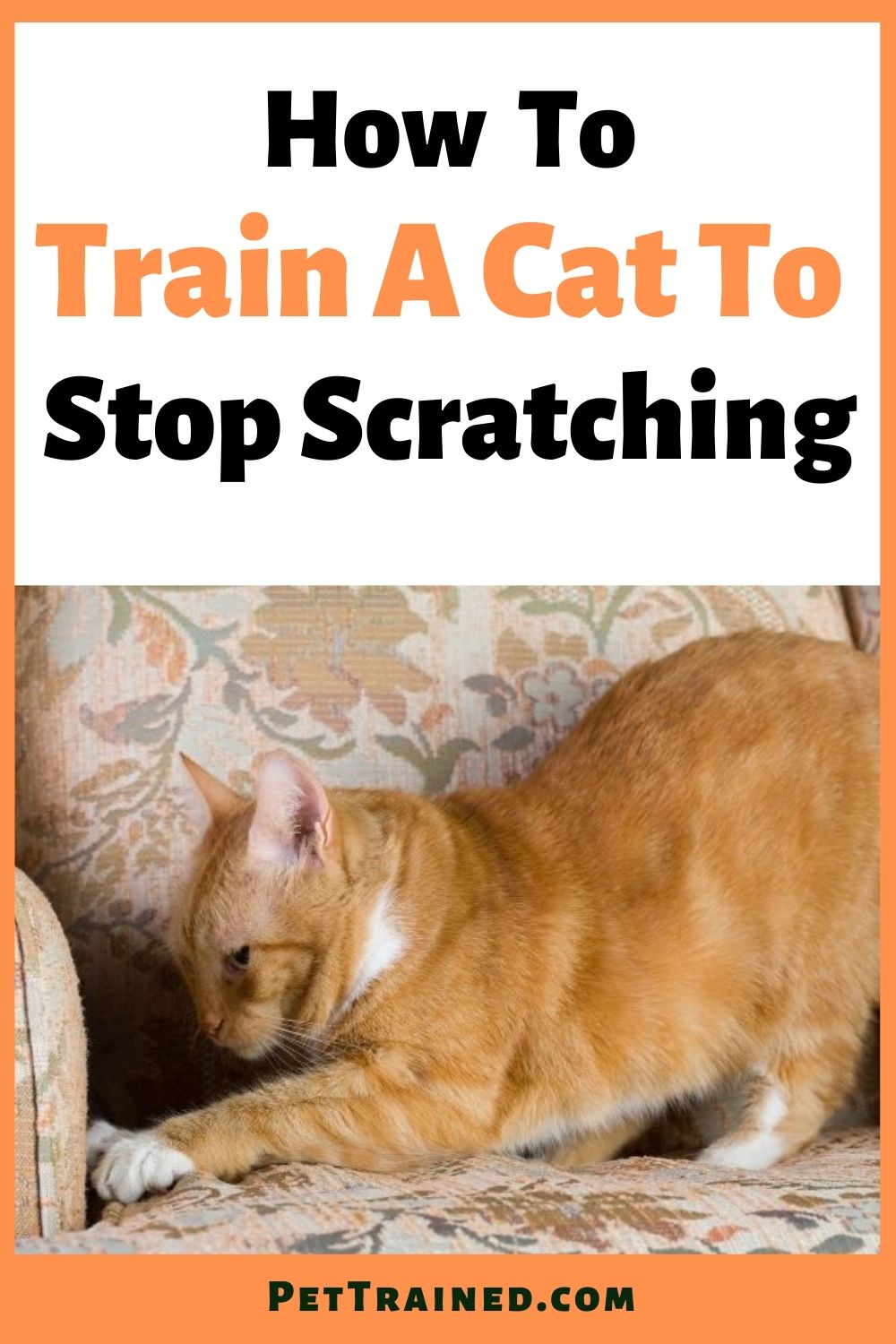 How to train a cat to stop scratching easily