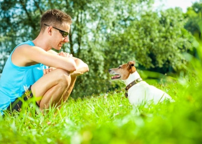 How to use a dog whistle to train your dog to sit
