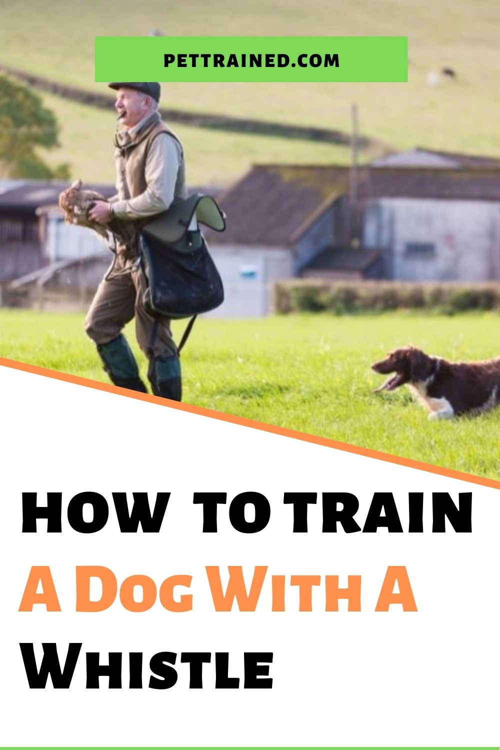 Train your dog with a dog whistle