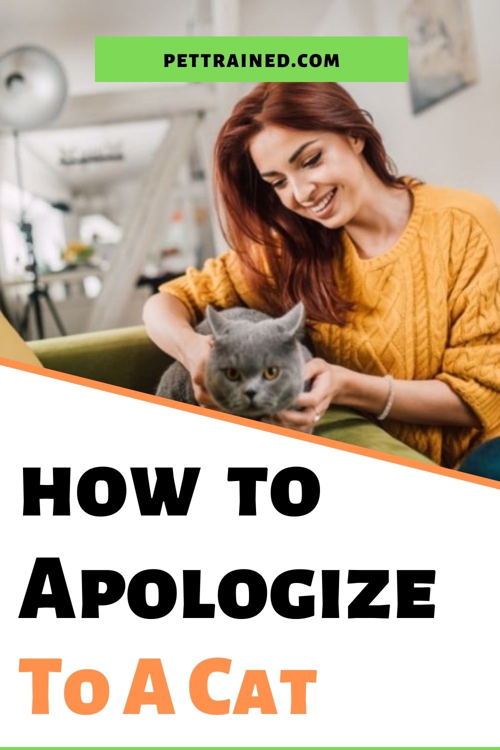 How to apologize to a cat