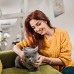 How To Apologize To A Cat: 6 Easy Steps to Say Sorry