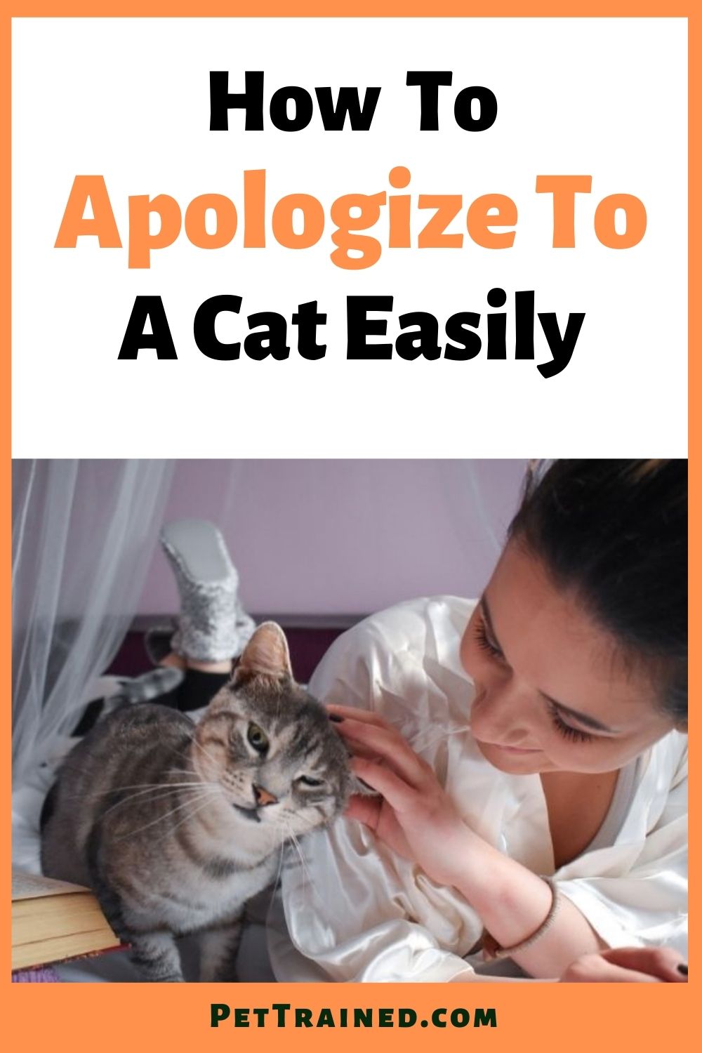 How to apologize to a cat easily