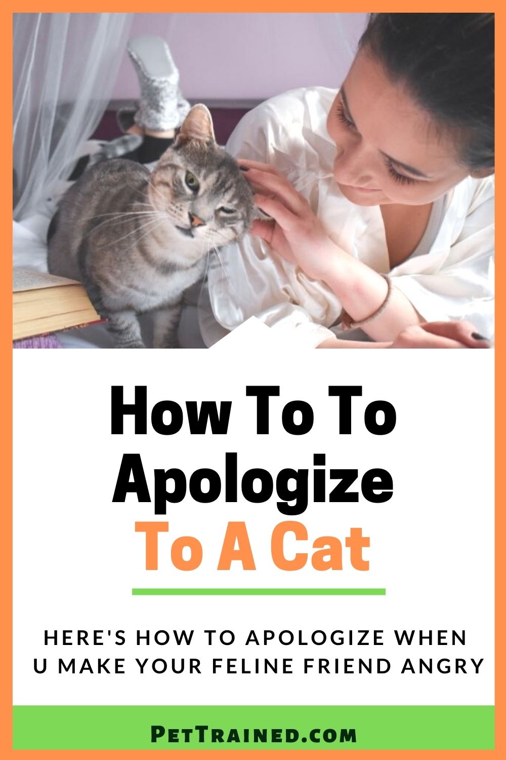 How to apologize to your feline friend