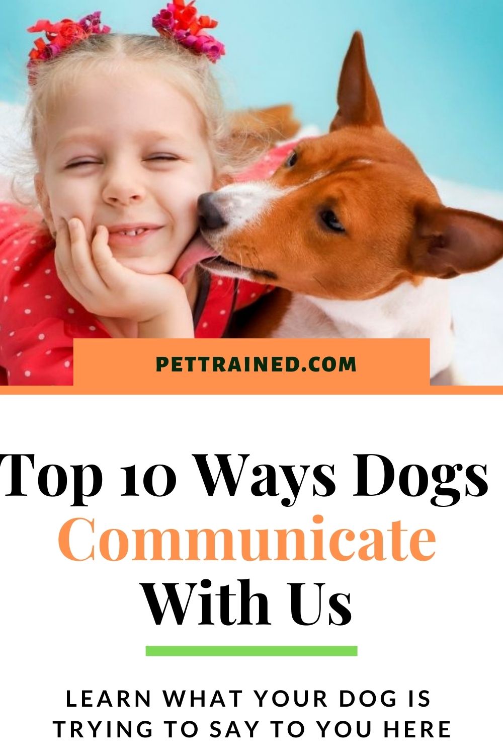 ways dogs communicate with us