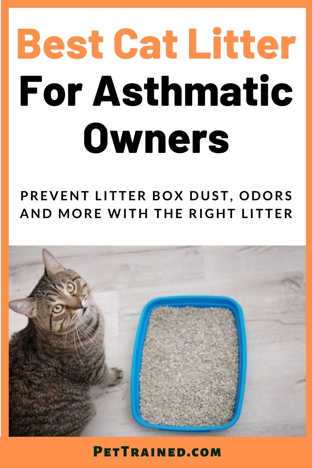 Best cat litter for cat owners with asthma