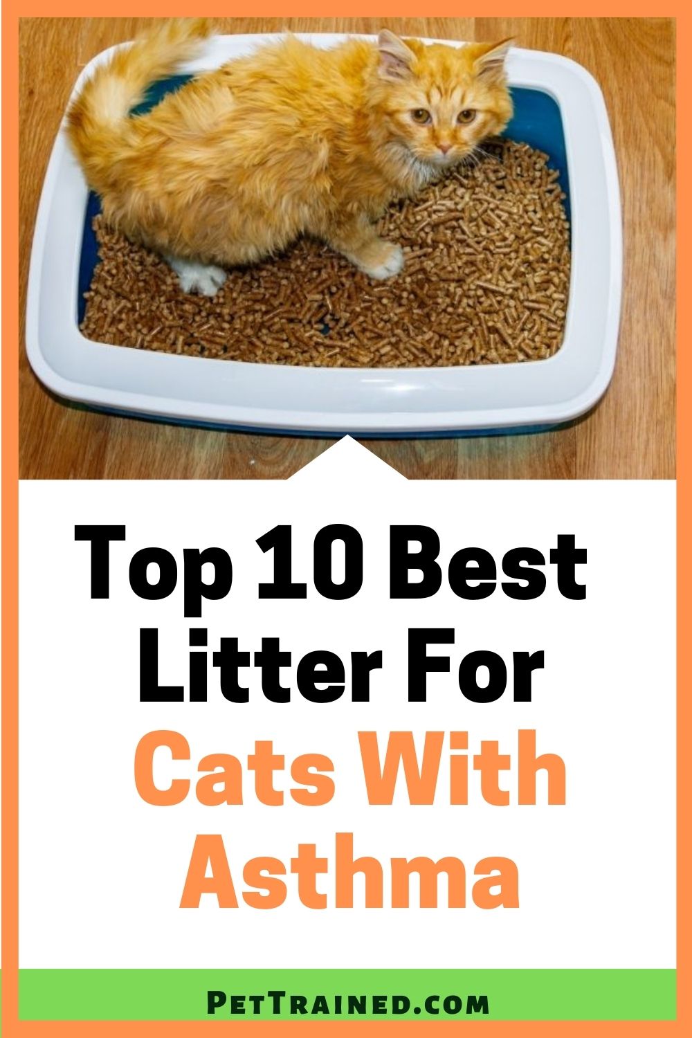 Best litter for cats with asthma dust free