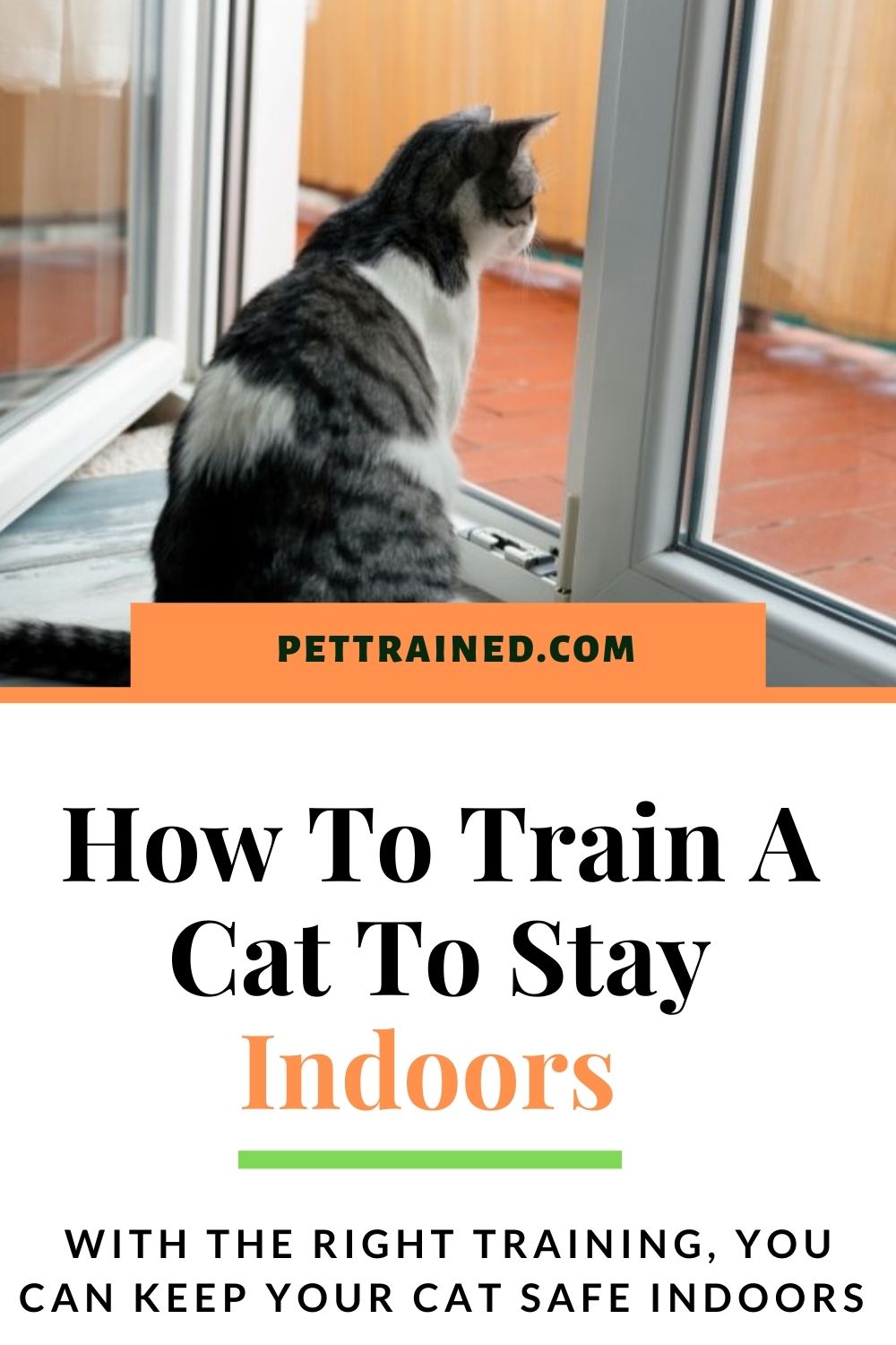 Train your cat to like being at home