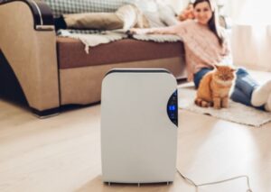 What are the Best Air Purifier For Cat Litter Odor, Dust and Box