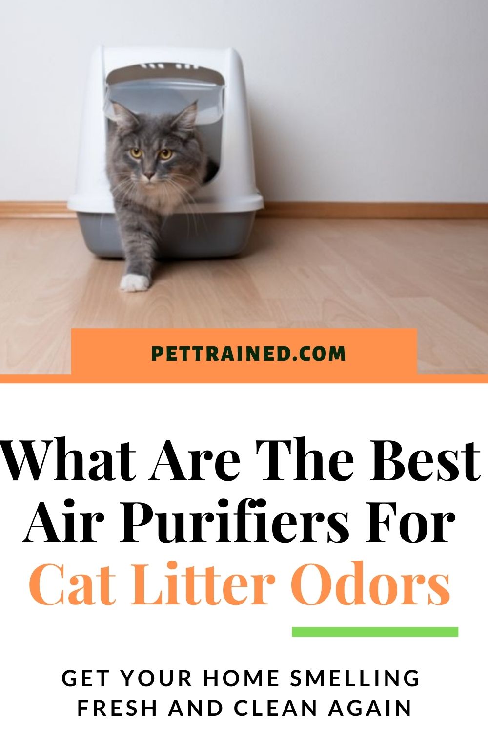 air purifier cat litter