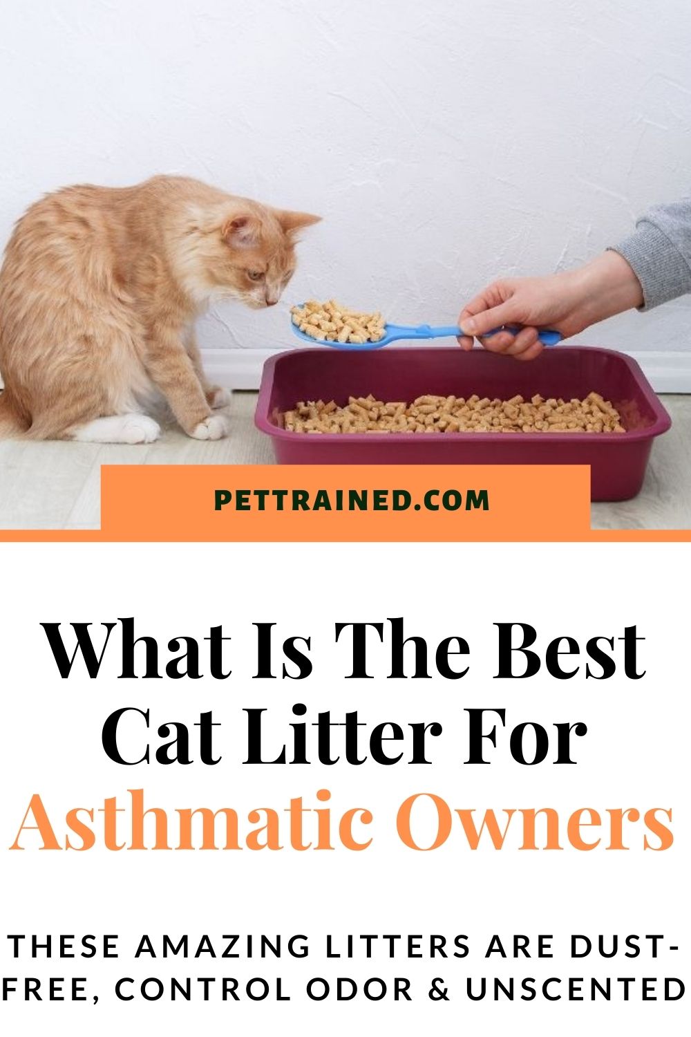 best cat litter for lungs and asthma