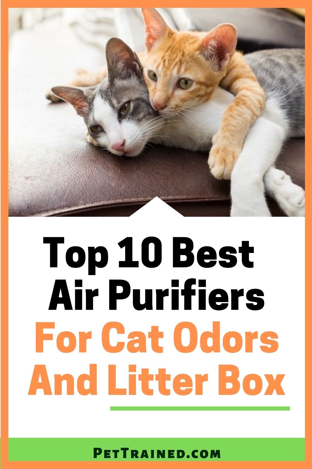 top 10 best air purifier for litter box smell