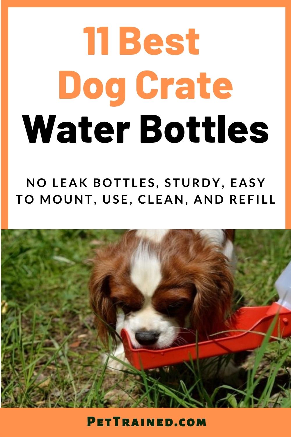 water bowl for dogs