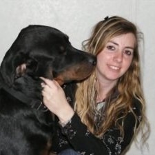 Adrienne Farricelli brain training for dogs