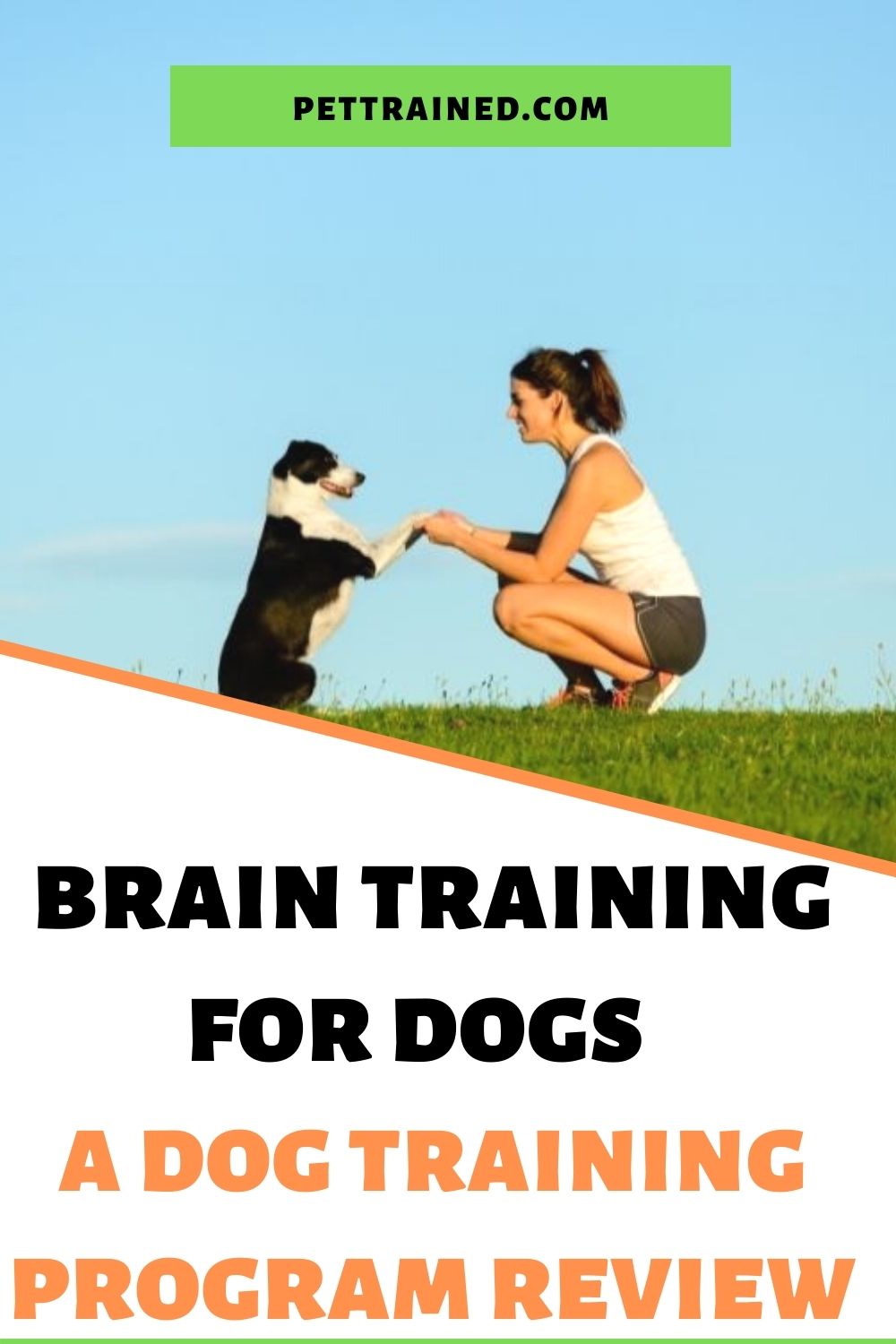 brain training games for dog intelligence